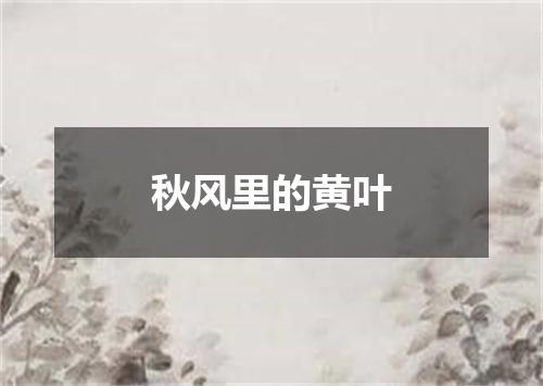 秋风里的黄叶