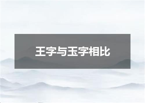 王字与玉字相比
