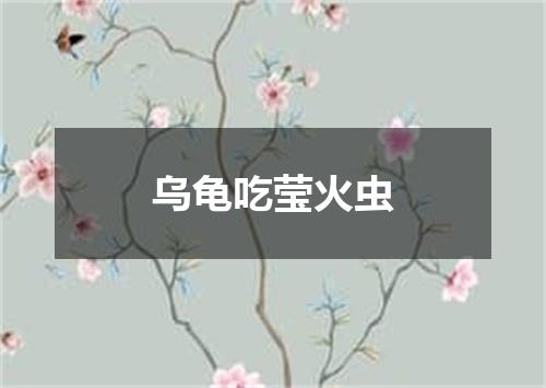 乌龟吃莹火虫