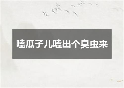 嗑瓜子儿嗑出个臭虫来