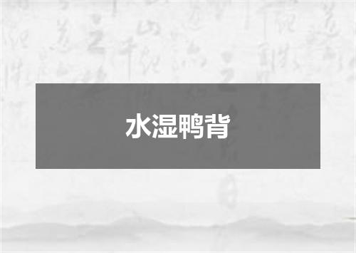 水湿鸭背