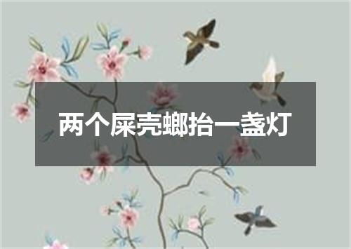 两个屎壳螂抬一盏灯