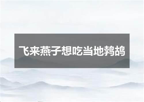 飞来燕子想吃当地鹁鸪