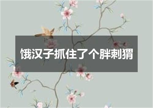 饿汉子抓住了个胖刺猬