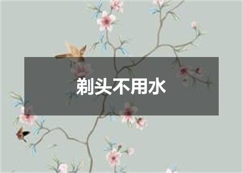 剃头不用水