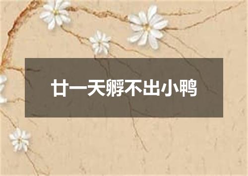 廿一天孵不出小鸭