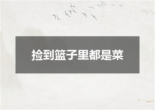 捡到篮子里都是菜