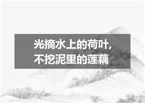 光摘水上的荷叶,不挖泥里的莲藕