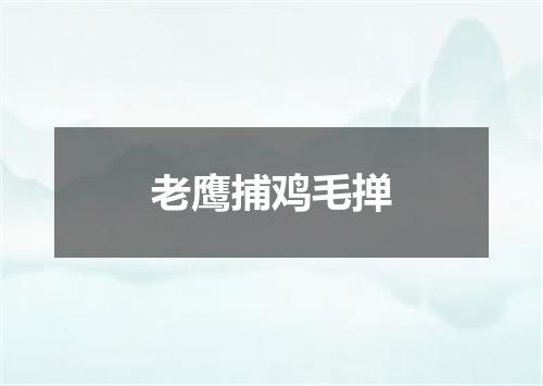 老鹰捕鸡毛掸