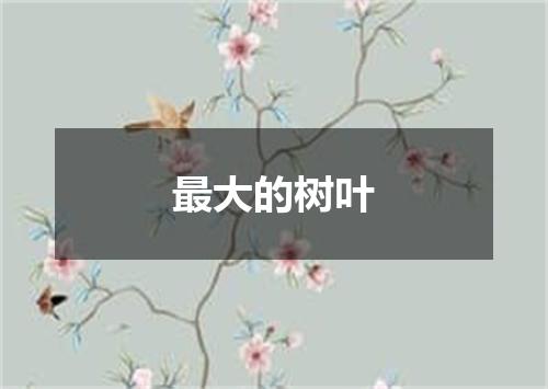 最大的树叶