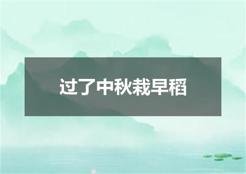 过了中秋栽早稻