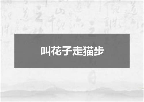 叫花子走猫步