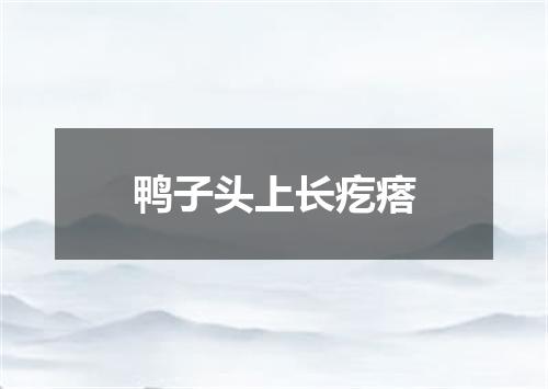 鸭子头上长疙瘩