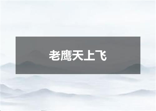 老鹰天上飞