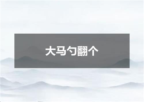 大马勺翻个