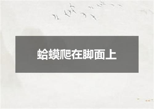 蛤蟆爬在脚面上