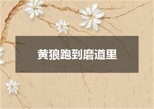 黄狼跑到磨道里