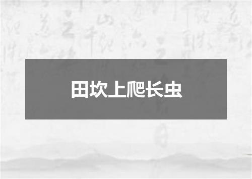 田坎上爬长虫