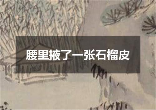 腰里掖了一张石榴皮