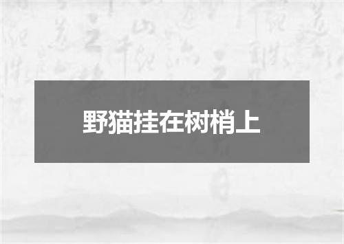 野猫挂在树梢上