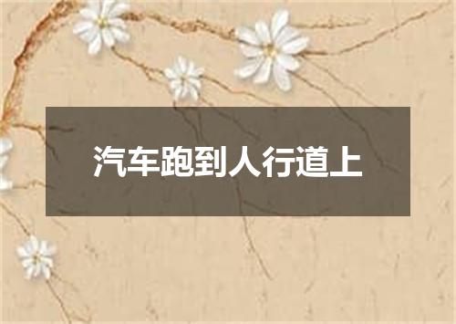 汽车跑到人行道上