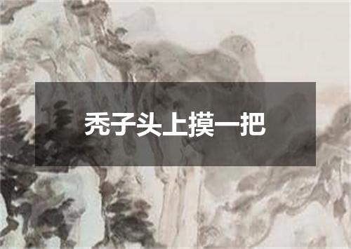 秃子头上摸一把