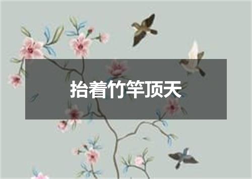 抬着竹竿顶天