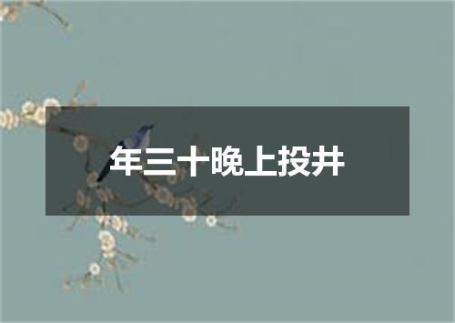 年三十晚上投井