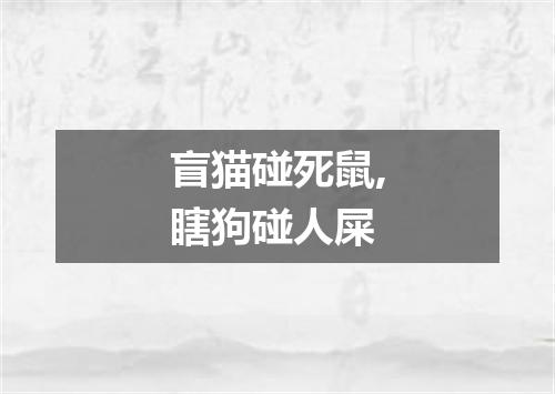 盲猫碰死鼠,瞎狗碰人屎