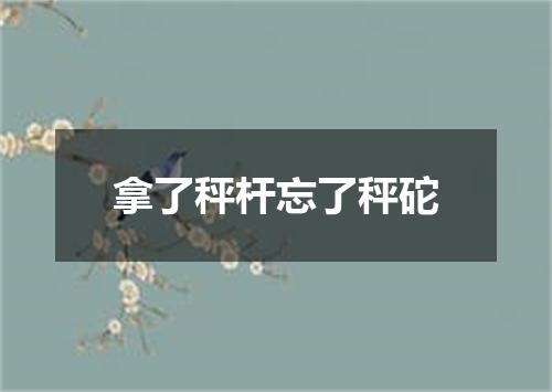 拿了秤杆忘了秤砣