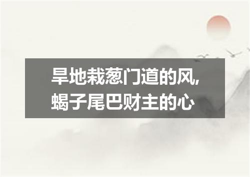 旱地栽葱门道的风,蝎子尾巴财主的心