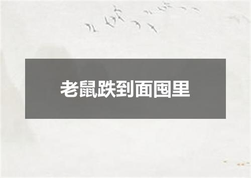 老鼠跌到面囤里