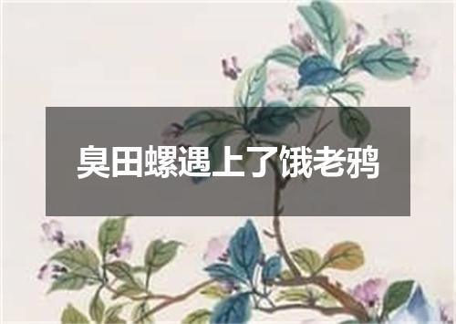 臭田螺遇上了饿老鸦