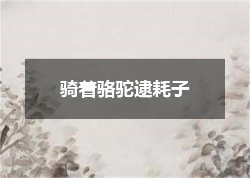 骑着骆驼逮耗子