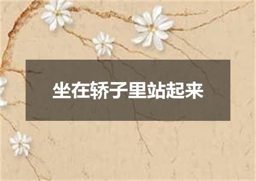 坐在轿子里站起来