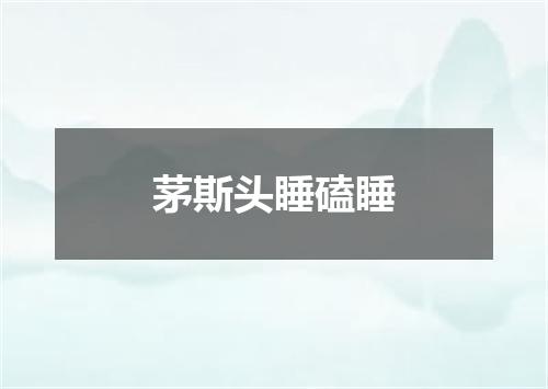 茅斯头睡磕睡
