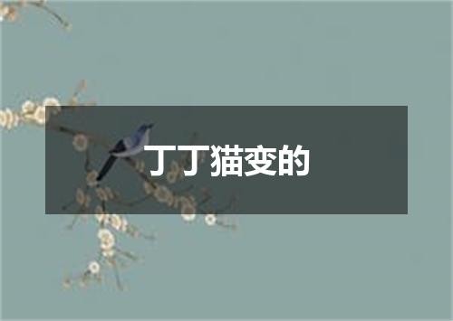 丁丁猫变的