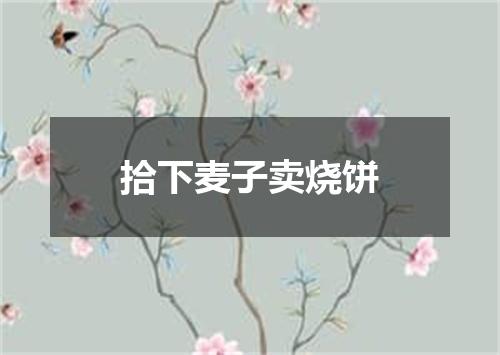 拾下麦子卖烧饼