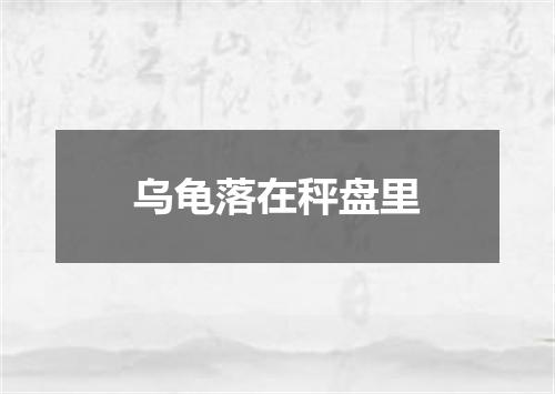 乌龟落在秤盘里