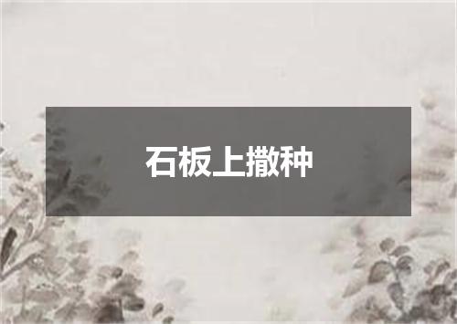 石板上撒种
