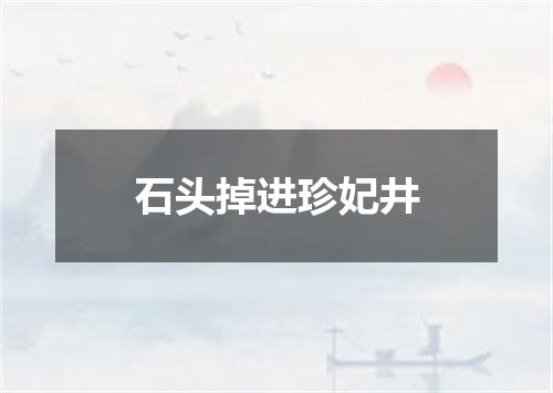 石头掉进珍妃井