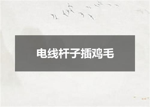 电线杆子插鸡毛