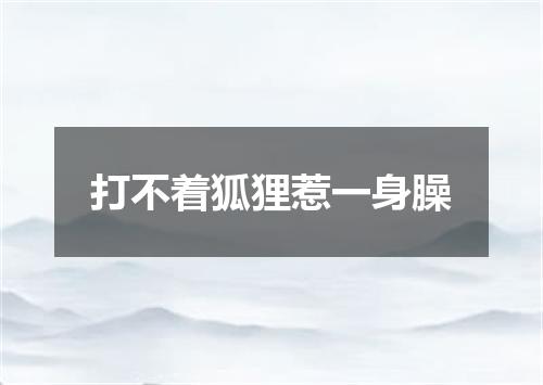 打不着狐狸惹一身臊