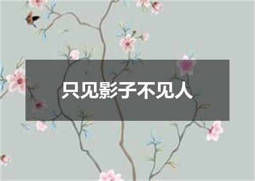 只见影子不见人