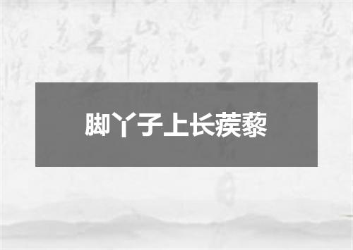 脚丫子上长蒺藜