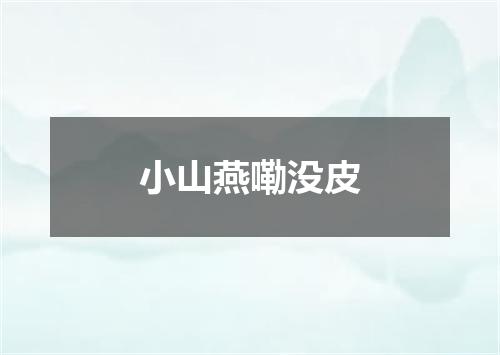 小山燕嘞没皮