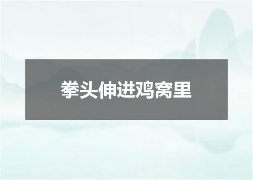 拳头伸进鸡窝里