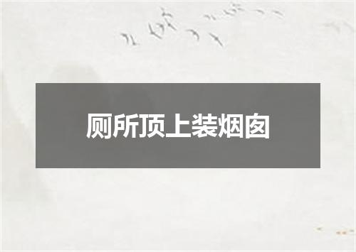 厕所顶上装烟囱