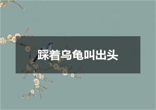 踩着乌龟叫出头
