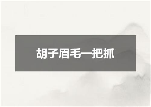 胡子眉毛一把抓